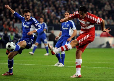 给联盟带来 给联盟带来